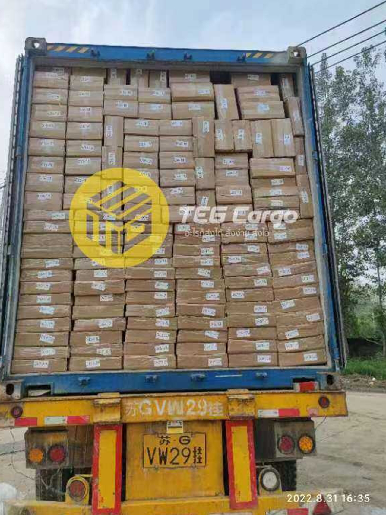 tegcargo7